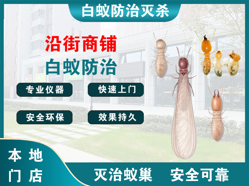 苏州沿街商铺白蚁防治