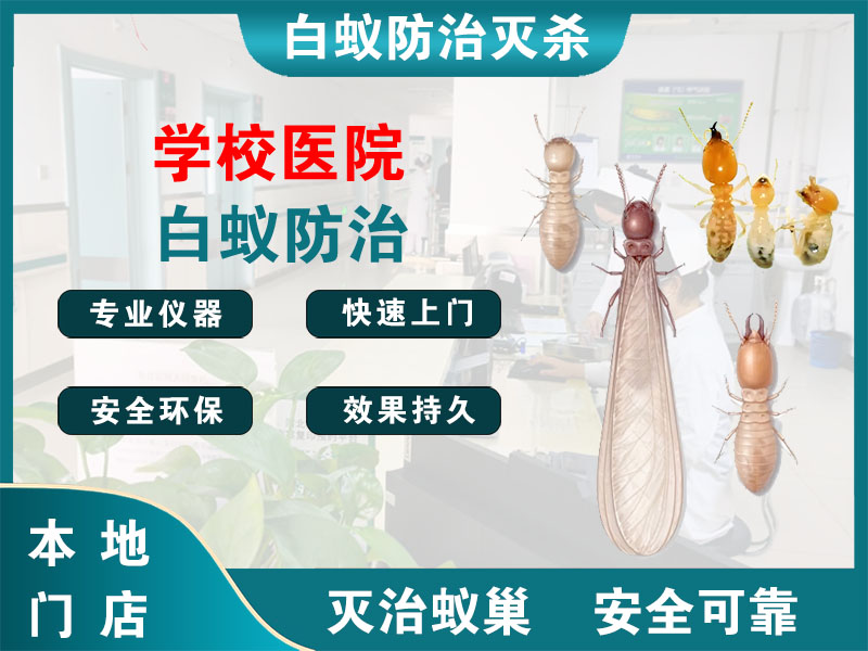 苏州学校医院白蚁防治