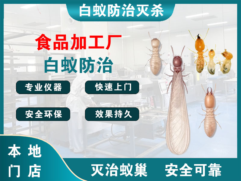 苏州食品加工厂白蚁防治
