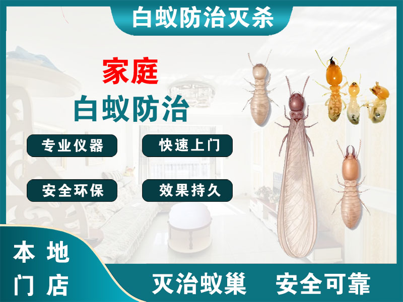 苏州家庭白蚁防治