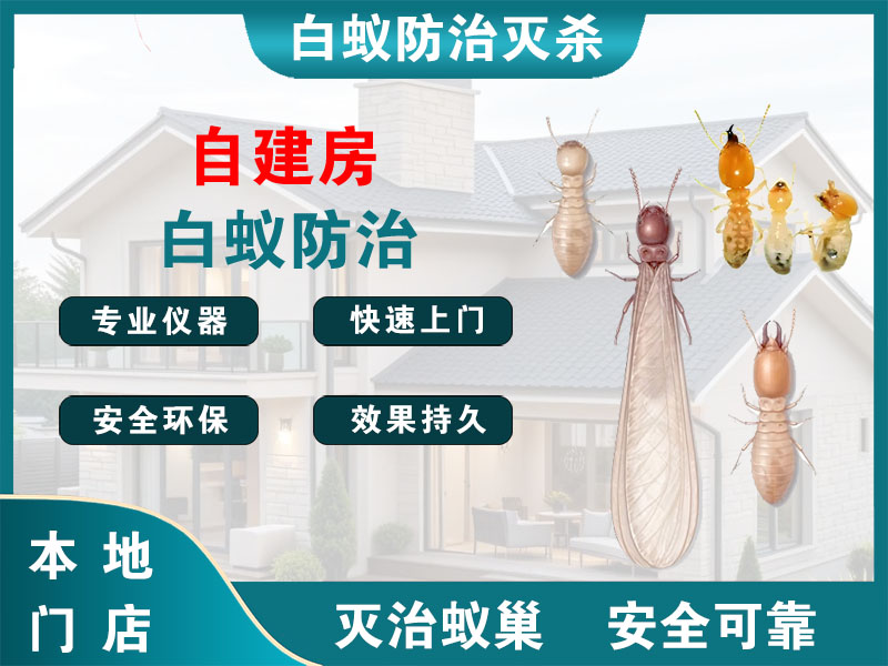 苏州自建房白蚁防治