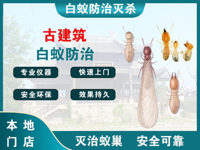 苏州古建筑白蚁防治