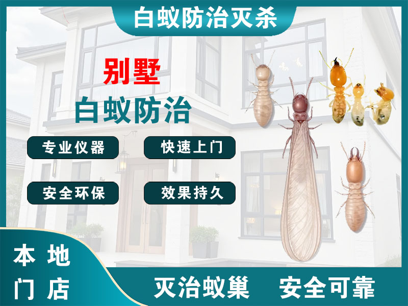 苏州别墅白蚁防治