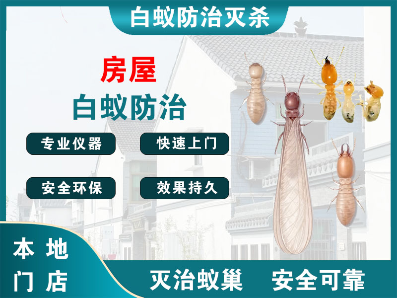 苏州房屋白蚁防治